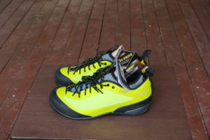Arcteryx hiking shoes
